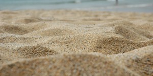 L'Etat annonce l'abandon de l'extraction de sables coquilliers en baie de Lannion