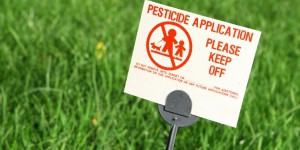 Pesticides : ce que prévoit le gouvernement pour protéger les riverains des zones traitées