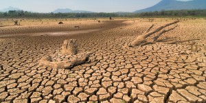 75% des sols de la planète sont dégradés selon le nouvel Atlas de la désertification