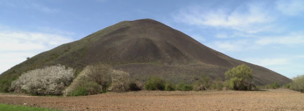 [VIDEO] Terrils miniers : de la friche au hotspot de la biodiversité