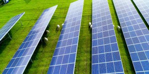 CSPE : les charges liées aux énergies renouvelables revues à la baisse