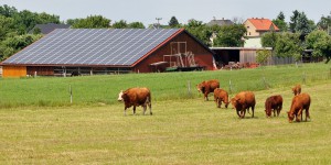 Energies renouvelables : pas de tarif d'achat spécifique pour les installations agricoles collectives