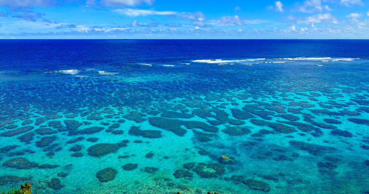 L'acidification des océans va s'amplifier avec des conséquences encore mal connues