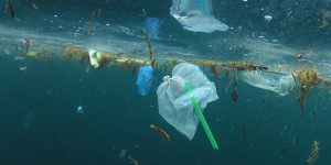 'En marche' contre les plastiques inutiles