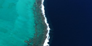 Le gouvernement calédonien sanctuarise ses récifs coralliens