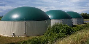 Electricité à partir de biogaz : 13 MW de raccordement pour le premier semestre 2018