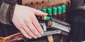 L'Agence européenne des produits chimiques pointe l'impact environnemental des munitions au plomb 