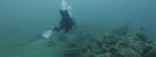 [VIDEO] Des pneus pour favoriser l'écosystème marin : la fausse bonne idée
