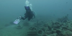 [VIDEO] Des pneus pour favoriser l'écosystème marin : la fausse bonne idée