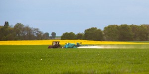 Maine-et-Loire : suspension d'un pesticide à l'origine d'intoxications
