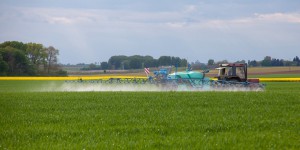 Procès du glyphosate : Monsanto écope en appel d'une amende divisée par trois