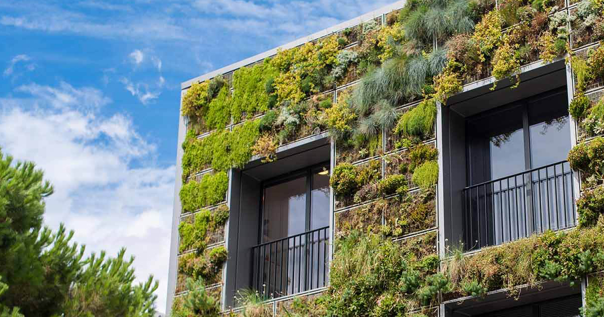 Végétalisation des toits et façades : un formidable outil urbanistique qui défend la biodiversité