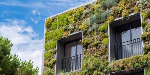 Végétalisation des toits et façades : un formidable outil urbanistique qui défend la biodiversité
