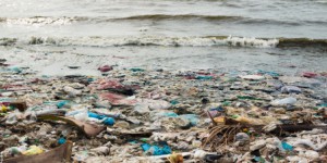 Les débris de plastique marins concentreraient des métaux lourds