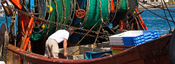 Données sur les subventions à la pêche : L'association Bloom lance un recours contre l'Etat