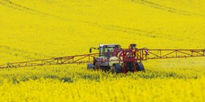 Pesticides : une nouvelle occasion donnée aux députés pour créer un fonds d'indemnisation