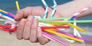 Le Sénat repousse à 2021 l'interdiction de certains ustensiles en plastique