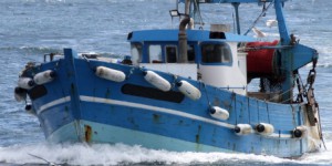 Pêche électrique : la Commission européenne annonce une procédure contre les Pays-Bas