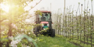 Pesticides : le gouvernement enterre la création d'un fonds d'indemnisation à court terme