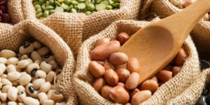 Protéines végétales : les consommateurs tirent la demande
