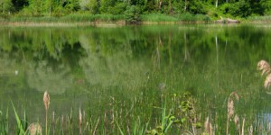 Biodiversité : une obligation réelle environnementale signée pour 99 ans en Savoie