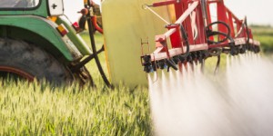 Réduction des phytosanitaires : une 'task force' et un calendrier