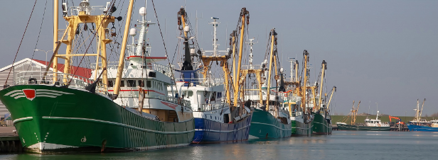Pêche électrique : l'Assemblée nationale vote l'interdiction dans les eaux françaises