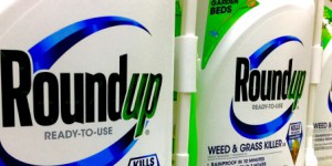 Roundup : Bayer condamné à verser des dommages de deux milliards de dollars à un couple d'Américains