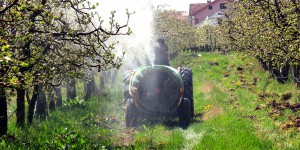 Pesticides : le rapporteur public réclame l'annulation de l'arrêté réglementant leurs usages 
