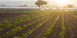 Réutilisation de l'eau pour l'agriculture : le Conseil de l'UE adopte sa position