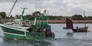 La pêche électrique interdite dans les eaux françaises depuis le 14 août