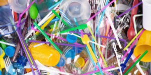 Loi économie circulaire : le Sénat réécrit la liste des produits plastique interdits