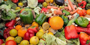 Loi économie circulaire : le Sénat renforce la lutte contre le gaspillage alimentaire