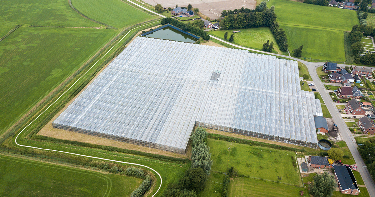 Photovoltaïque et agriculture : le déploiement se révèle plus facile sur serres 