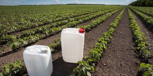 Réhomologation des pesticides : Générations futures dénonce les évaluations européennes lacunaires