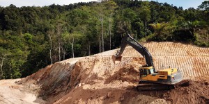 Évaluation environnementale en Guyane : le principe de non-régression environnementale a été violé
