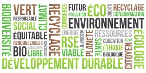 Objectifs de développement durable : la France publie sa stratégie à l'horizon 2030