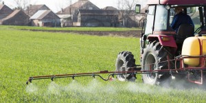 Pesticides : la justice administrative annule l'emblématique arrêté de Langouët