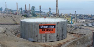 Raffinerie de La Mède : Greenpeace accuse Total d'utiliser l'huile de palme « non durable »