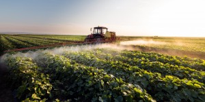 Victimes des pesticides : les députés adoptent la création d'un fonds d'indemnisation en 2020
