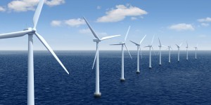 Éolien en mer : 10 % de la taxe seront affectés à l'Office français de la biodiversité