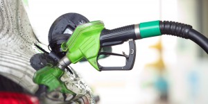 Taxe incitative sur les biocarburants : les députés renforcent les obligations de traçabilité 