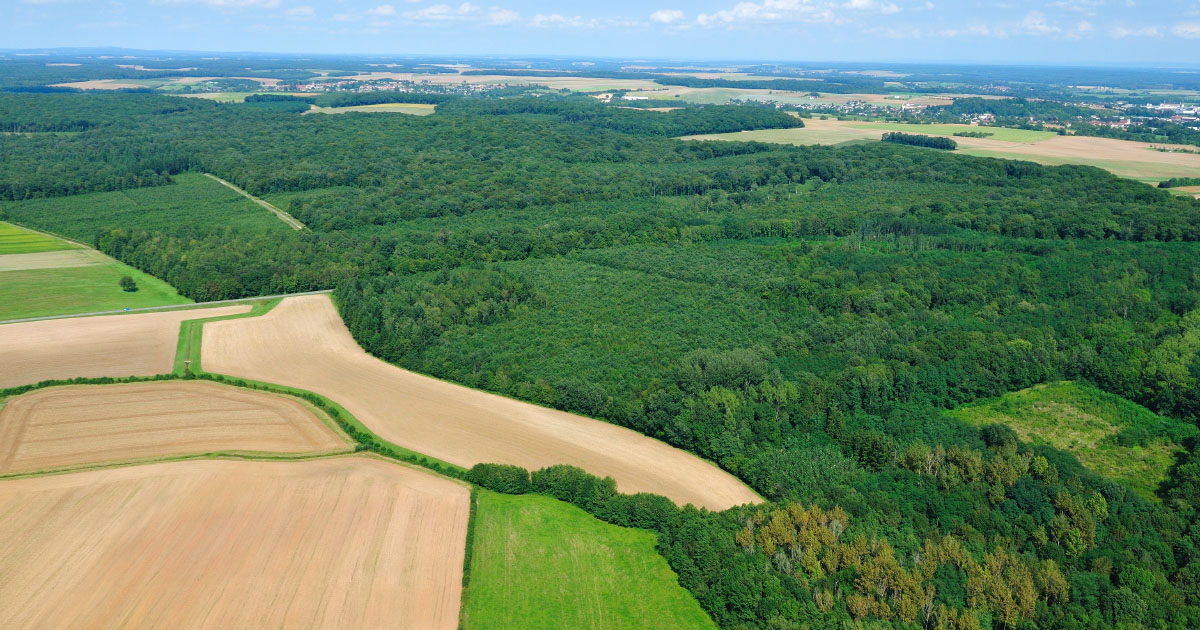 Forêts : le dispositif de lutte contre le mitage en Île-de-France en voie d'être pérennisé 