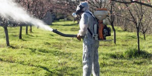 Pesticides : une revue scientifique révèle l'illusoire protection des travailleurs agricoles