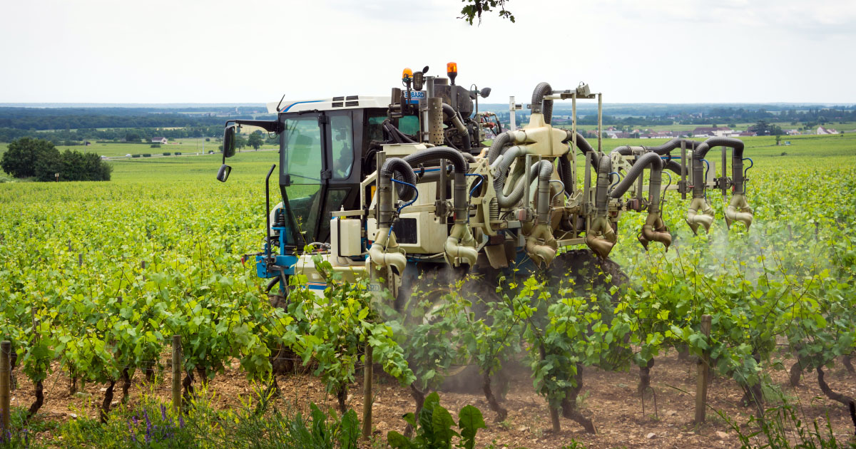 Sortie du glyphosate : un impact de 5 % sur la rentabilité des exploitations pour la viticulture 
