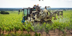 Sortie du glyphosate : un impact de 5 % sur la rentabilité des exploitations pour la viticulture 