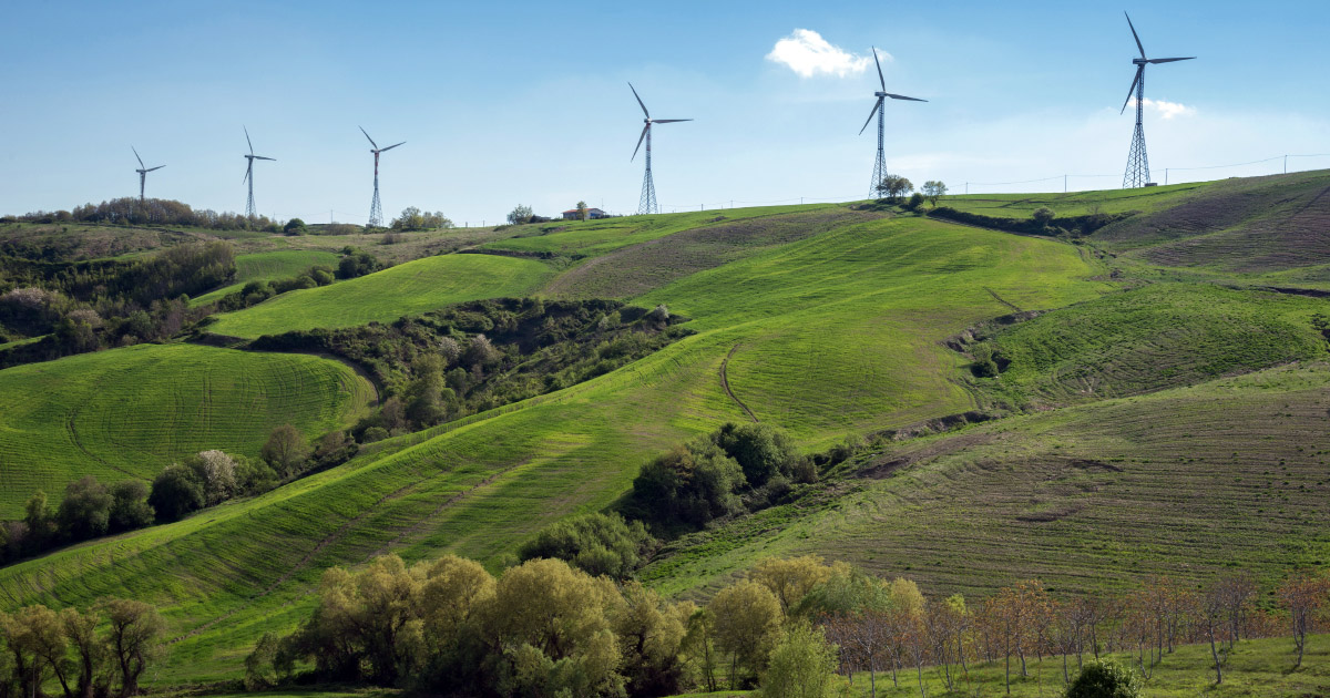 FNE dépose une plainte pour mortalité d'espèces protégées sur un parc éolien de l'Aveyron