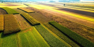 Label bas-carbone : 391 éleveurs s'engagent à compenser leurs émissions de CO2