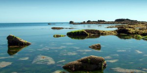 Lancement d'un appel à initiatives pour la préservation de la biodiversité marine en Loire-Bretagne