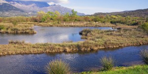 Lancement d'un appel à projets pour préserver les zones humides du grand Sud-Ouest